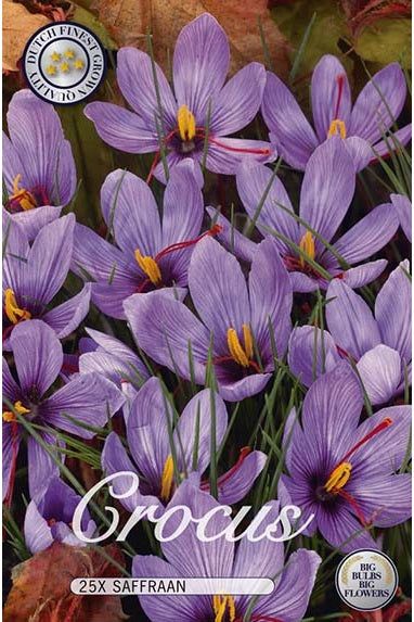 Crocus Saffron 25-pakning